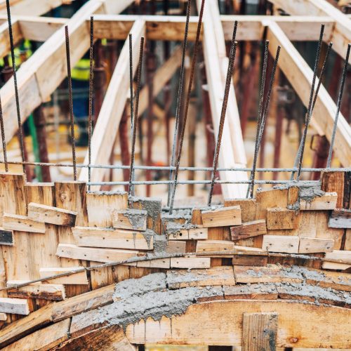 abdellatif-tarek-abdellatif-ahm-PPVSGCH_1768316141